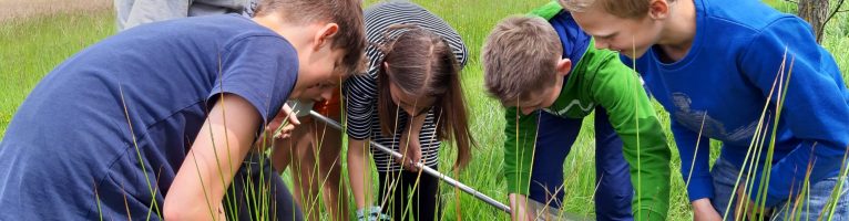 L4/5/6 gaat op stap met Natuurpunt!