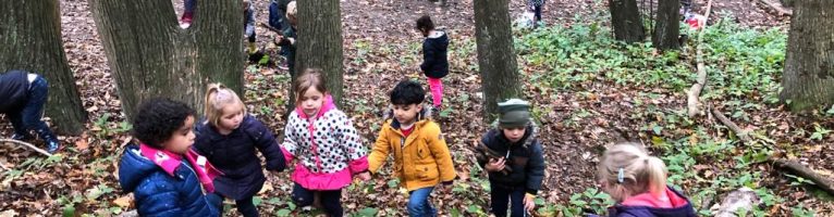 De week van het bos!