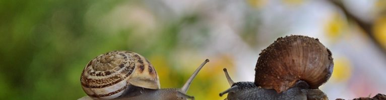 K2 themabriefje (12/10 – 16/10)