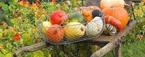 K2 themabriefje (26/10 – 30/10)