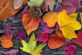Verlenging herfstvakantie