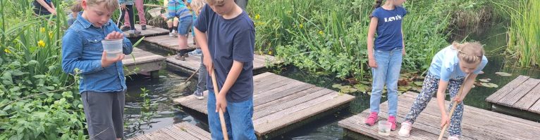 L3 workshop waterdiertjes