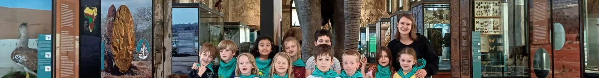 K3 en L1 naar het Afrikamuseum