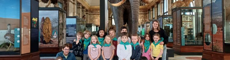 K3 en L1 naar het Afrikamuseum