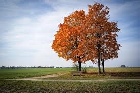 K0 themabriefje (13/10 – 17/10)