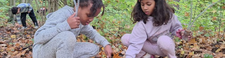 L3 gaat op zoek naar kriebelbeestjes!