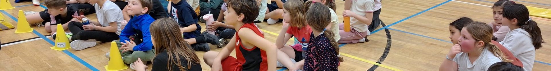 L3/4 – sportnamiddag: alles met de bal