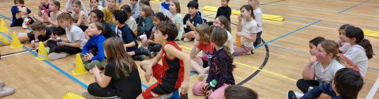 L3/4 – sportnamiddag: alles met de bal