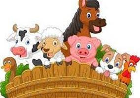 K0 themabriefje (27/4 – 30/4)